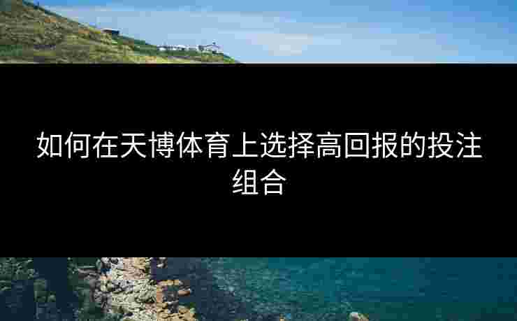 如何在天博体育上选择高回报的投注组合
