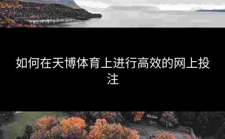如何在天博体育上进行高效的网上投注