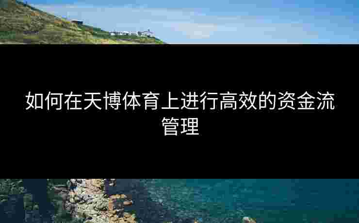 如何在天博体育上进行高效的资金流管理