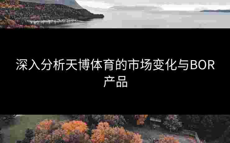 深入分析天博体育的市场变化与BOR产品