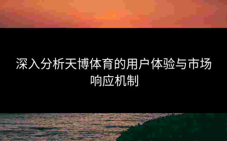 深入分析天博体育的用户体验与市场响应机制